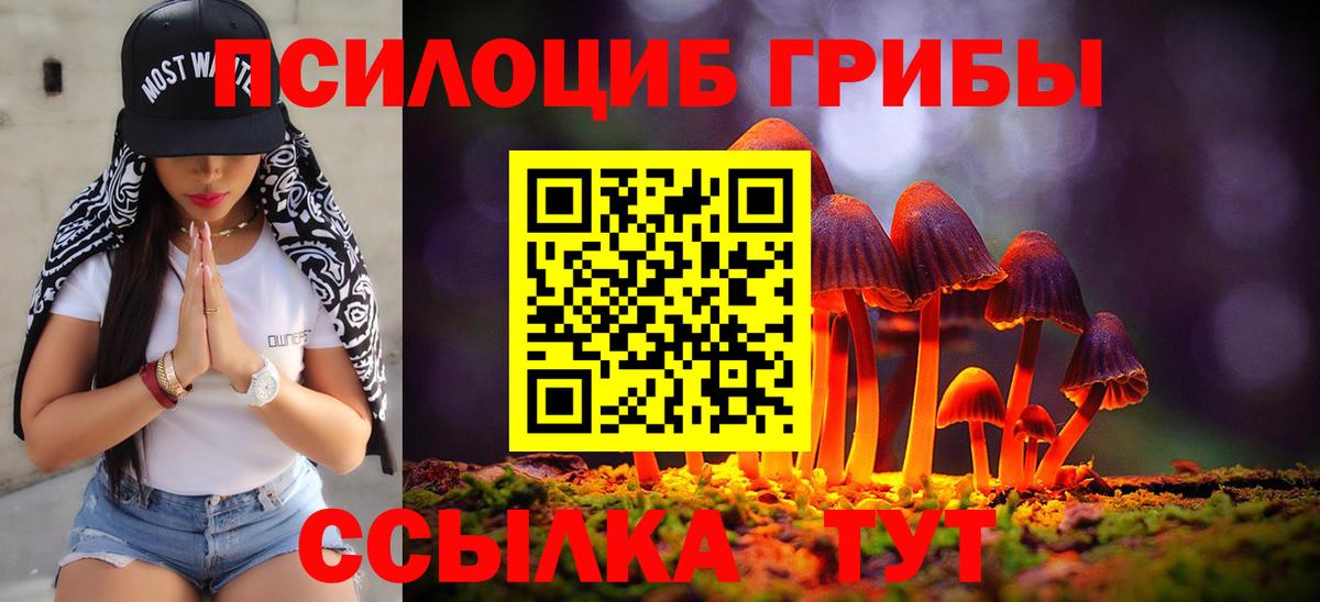 Галлюциногенные грибы MAGIC MUSHROOMS  Вход с VPN  Ставрополь 